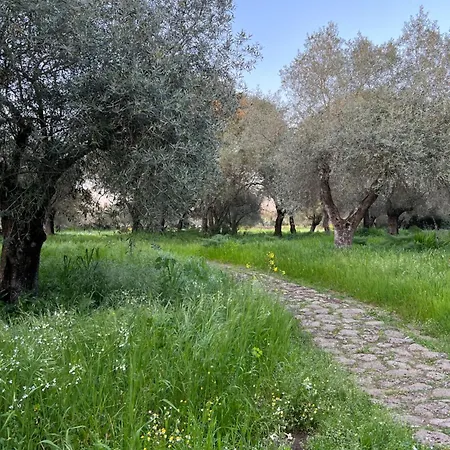 Muristene Pozzo Santa Cristina * Paulilatino