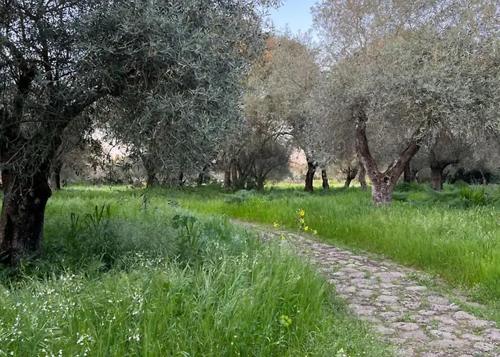 Muristene Pozzo Santa Cristina * Paulilatino