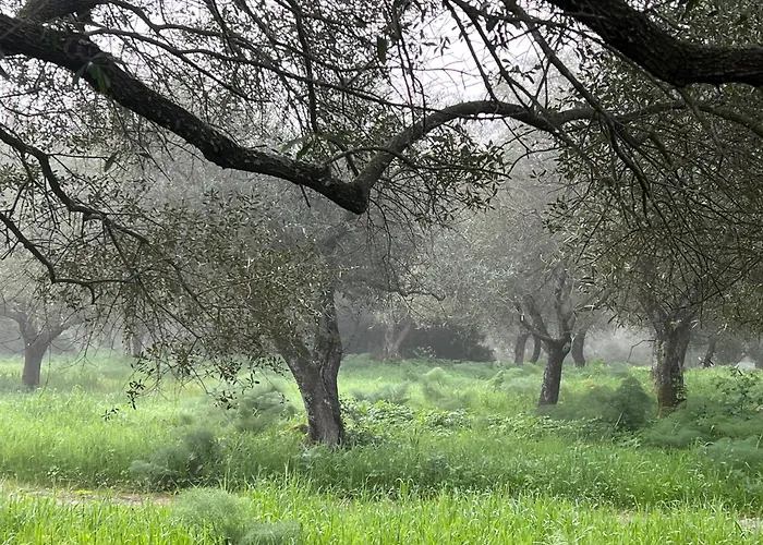 Tatil Evi Muristene Pozzo Santa Cristina Paulilatino