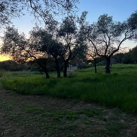 Holiday home Muristene Pozzo Santa Cristina *