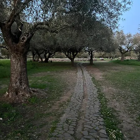 別荘 Muristene Pozzo Santa Cristina Paulilatino