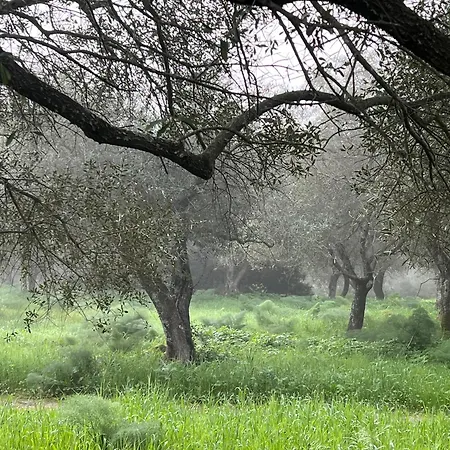 Casa vacanze Muristene Pozzo Santa Cristina Paulilatino
