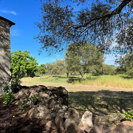 Muristene Pozzo Santa Cristina * Paulilatino