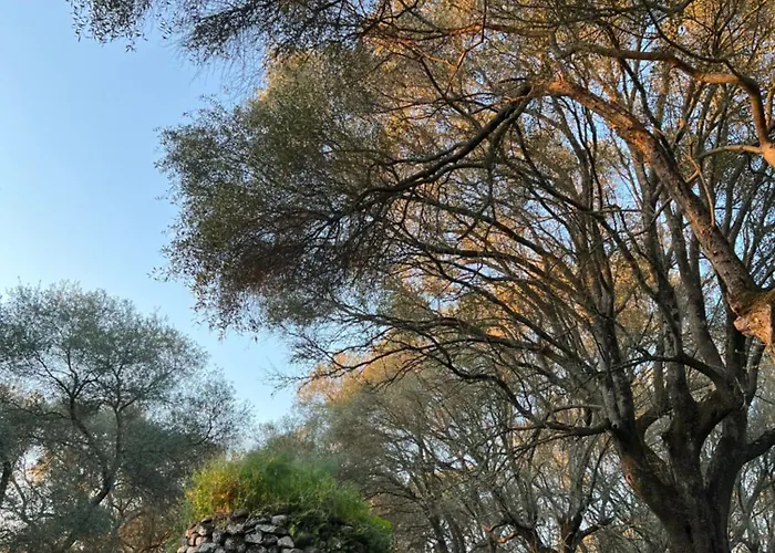 Muristene Pozzo Santa Cristina בית נופש Paulilatino